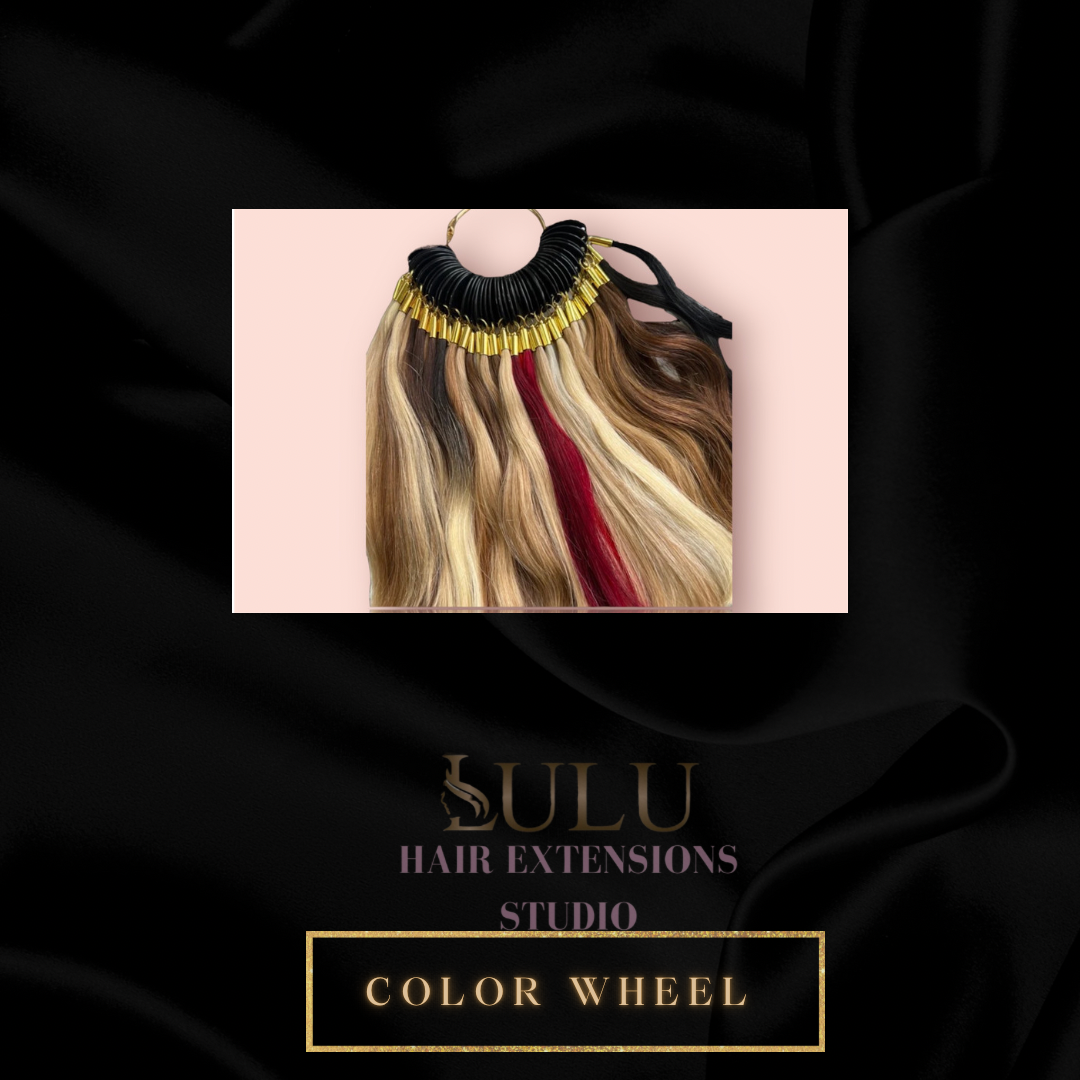 COLOR WHEEL