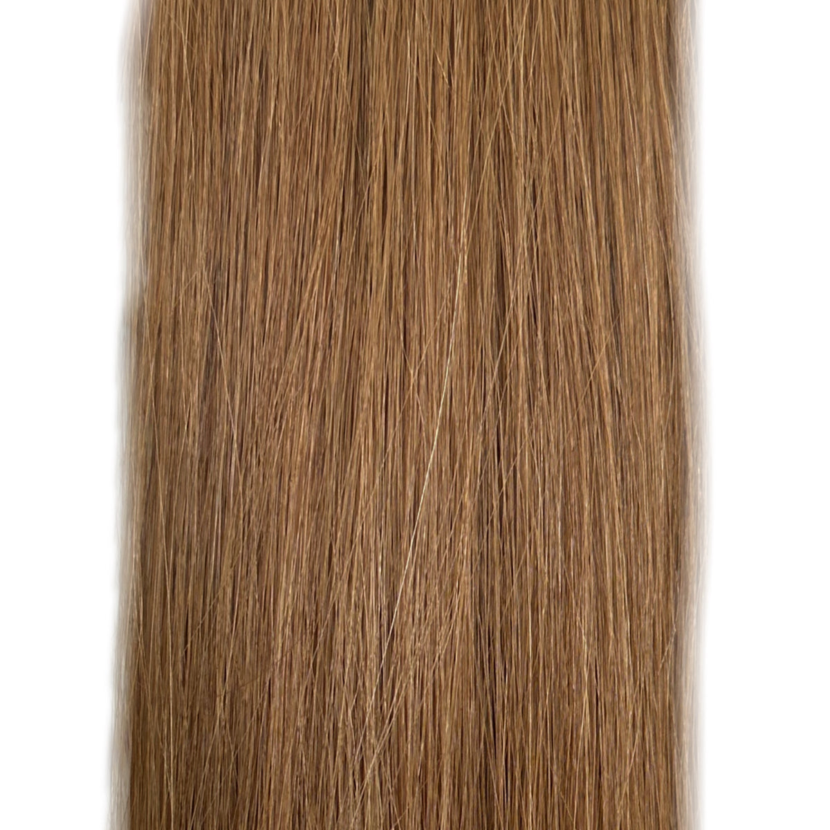 WEFT #6