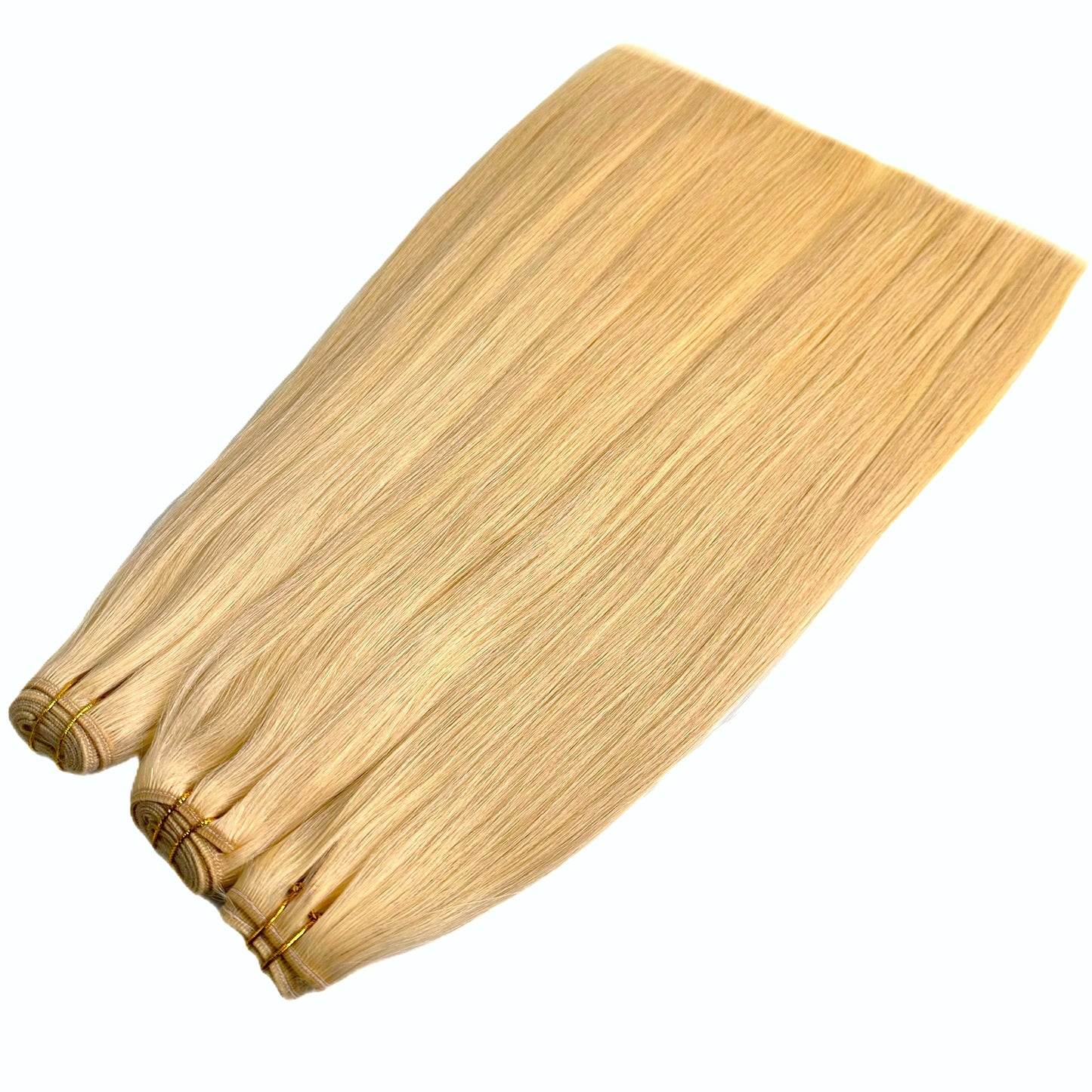 WEFT #613